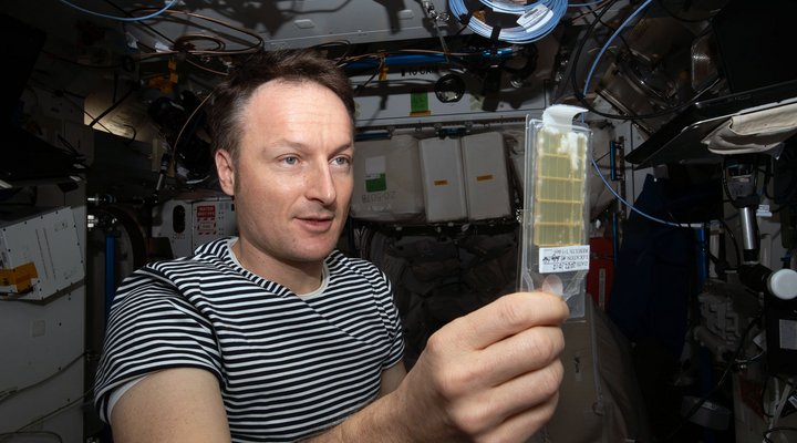 Pilzen und Bakterien auf der ISS